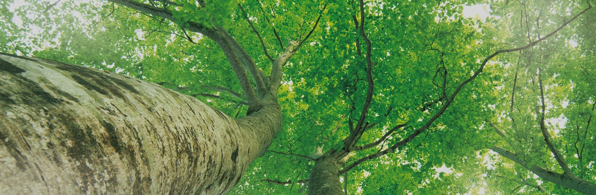 首页-PP视讯厅真人官方网站