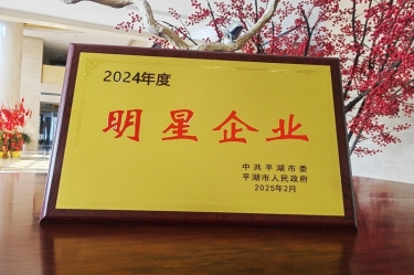 新春新景新形象 | PP视讯纸业在平湖三干大会上喜摘荣誉！